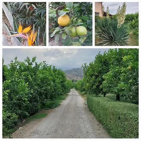 Sole Отель типа 