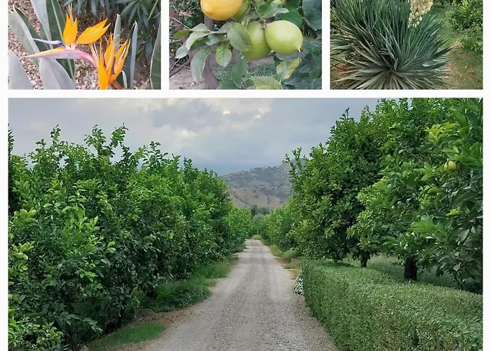 Sole Bed & Breakfast Trappitello